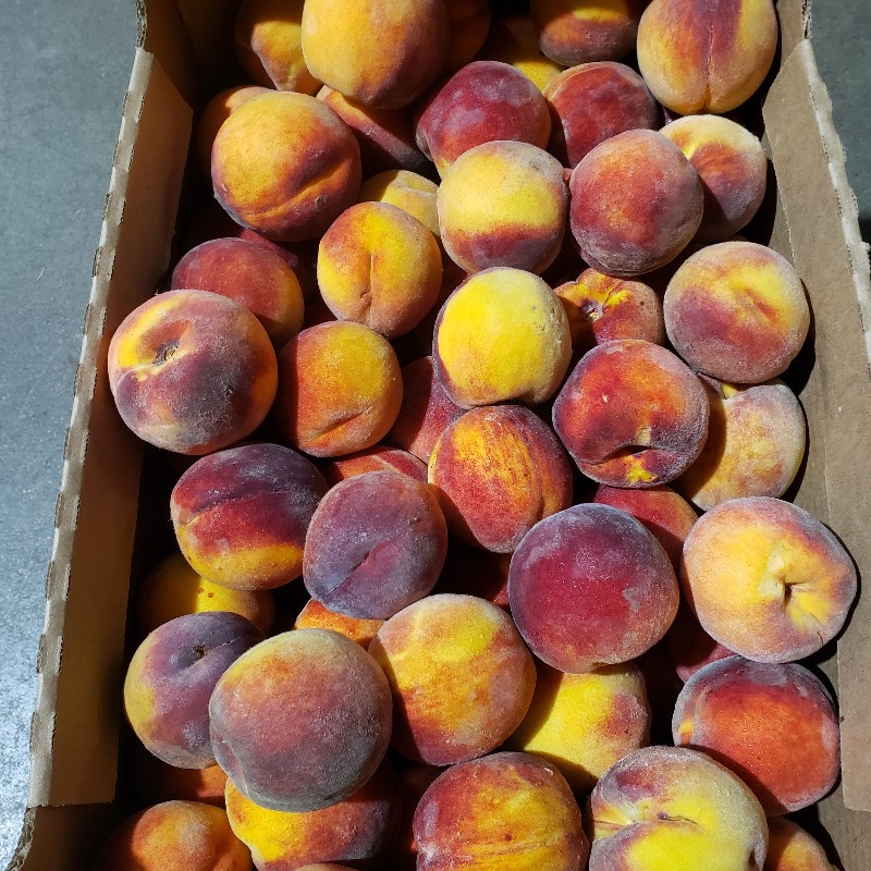 Peaches, PF23 (Freestone) 25lb - Palatine