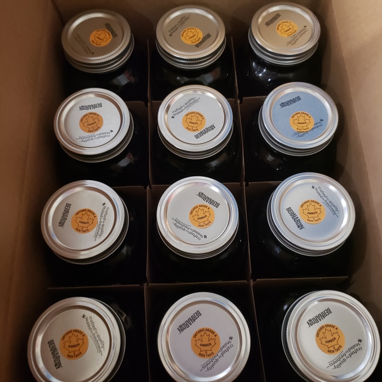 Maple Syrup - Amber (Medium) 1 CASE