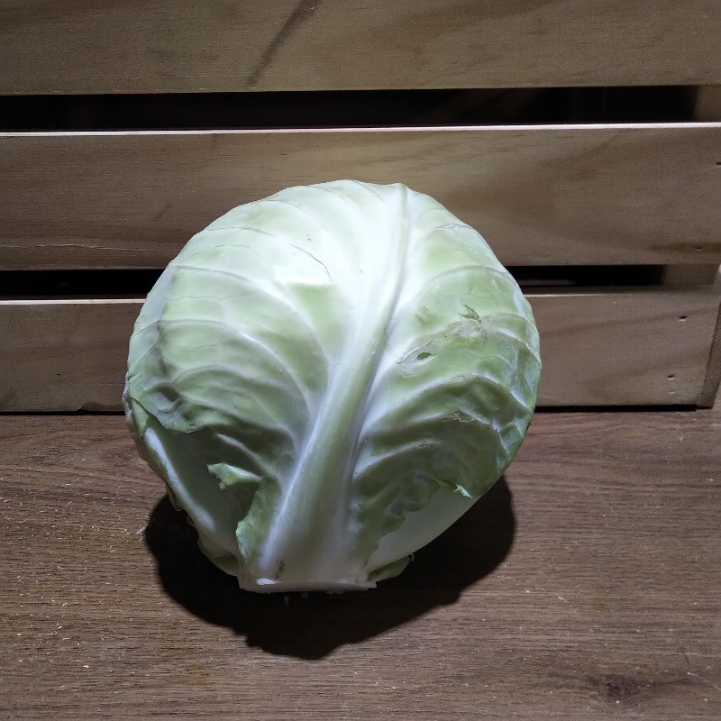Cabbage, Green - Bowman