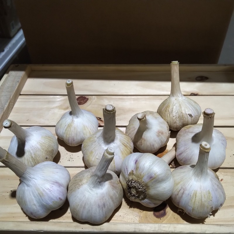 Garlic 1lb - Bowman