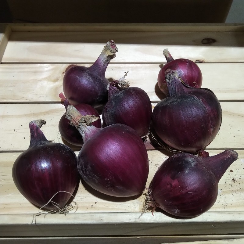 Onions, Red 2lb