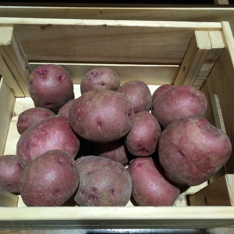 Potatoes, Red - 3lb - Bowman