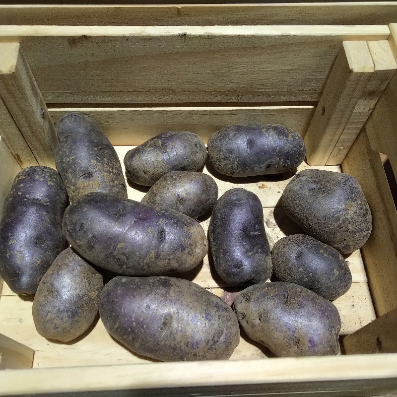 Potatoes, All Blue - 3lb - Bowman
