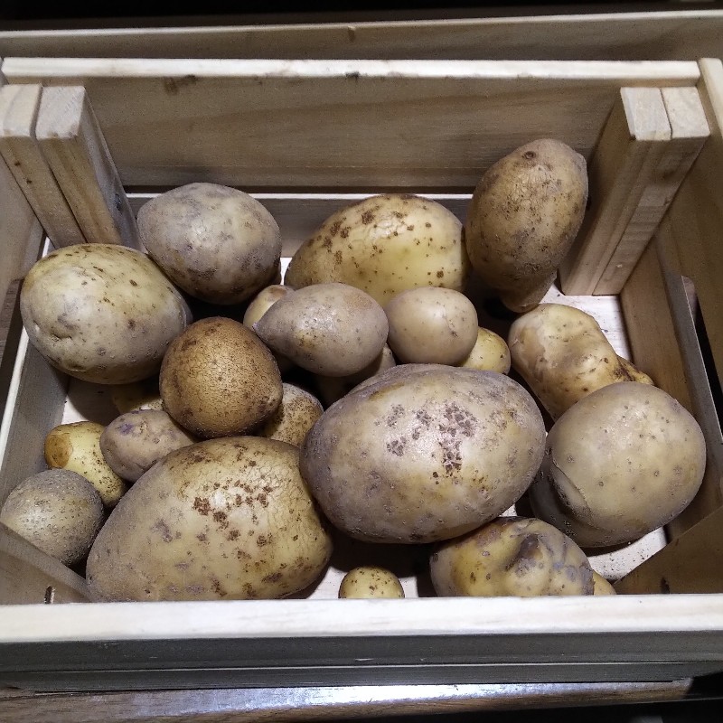 Potatoes, Yellow - 10lb - Bowman