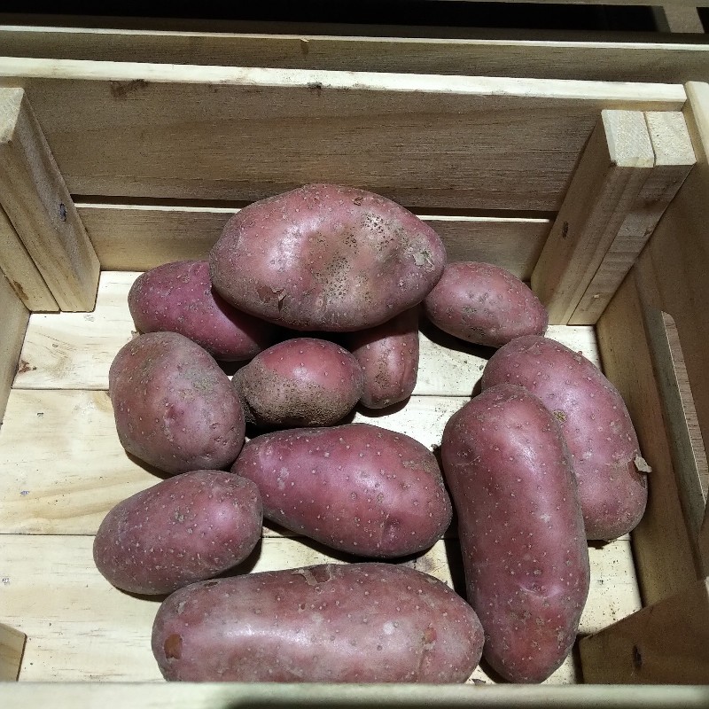 Potatoes, French Fingerling - 3lb - Bowman