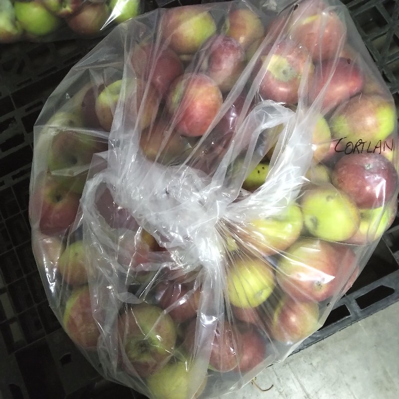 Apples, Cortland - 1/2 bushel - Apple Creek Farm