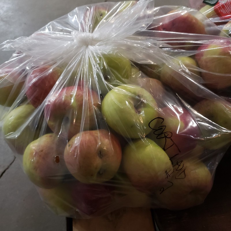 Apples, Cortland 2nds - 1/2 bushel (20lbs) - Apple Creek Farm