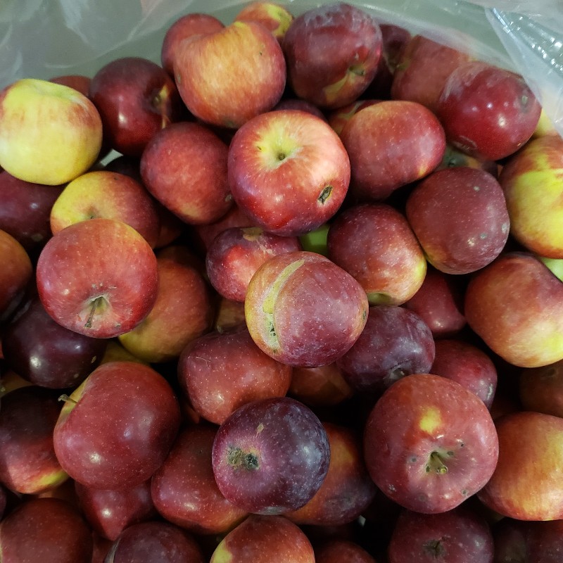Apples, Empire 2nds - Full bushel - Apple Creek Farm