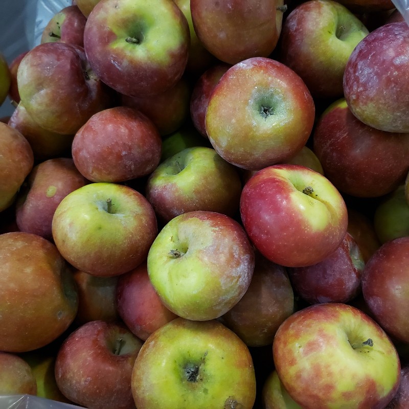 Apples, Spartan - 1/2 bushel (20lbs)- Apple Creek Farm