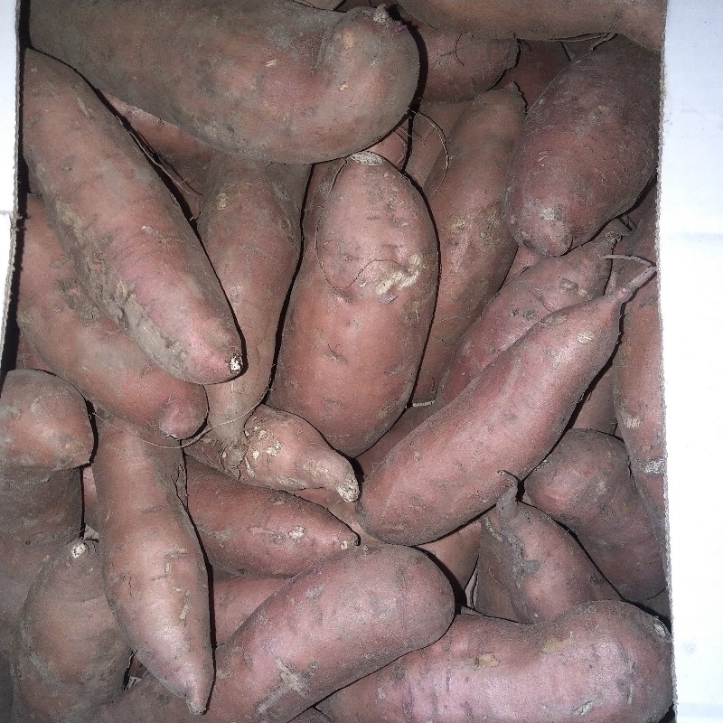 Sweet potatoes, 3lb - Hope Produce