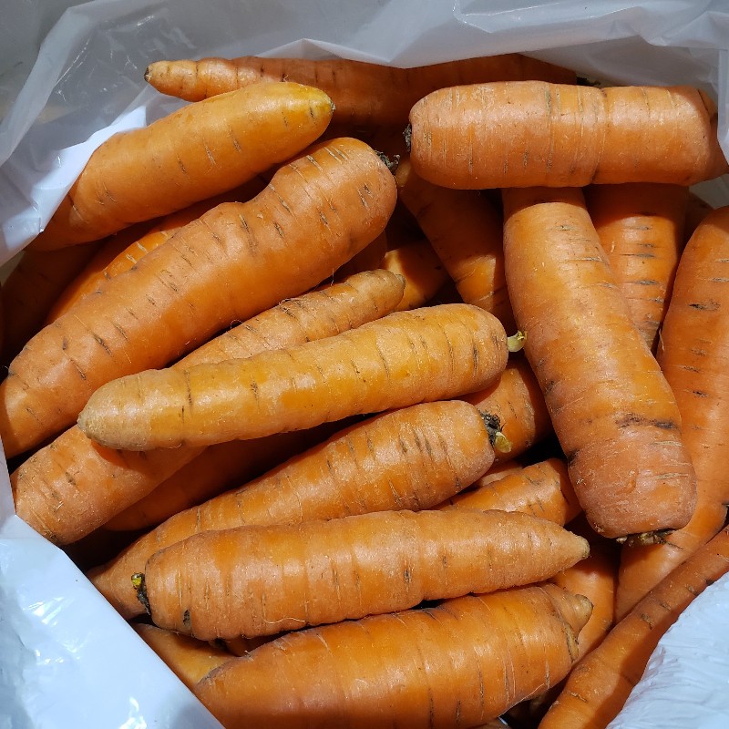 Carrots 10lbs - Knechtels