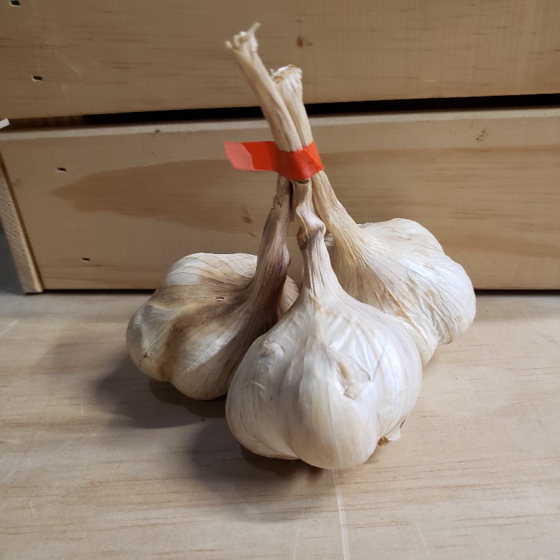 Garlic, Softneck 3ct - Knechtels