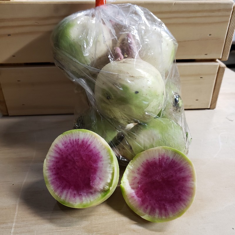 Winter Radish, Watermelon - Knechtels