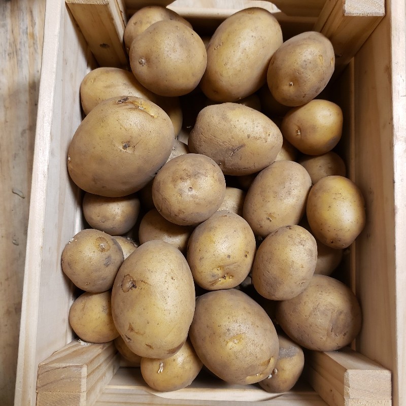 Yellow Potatoes 5lb - Laepple