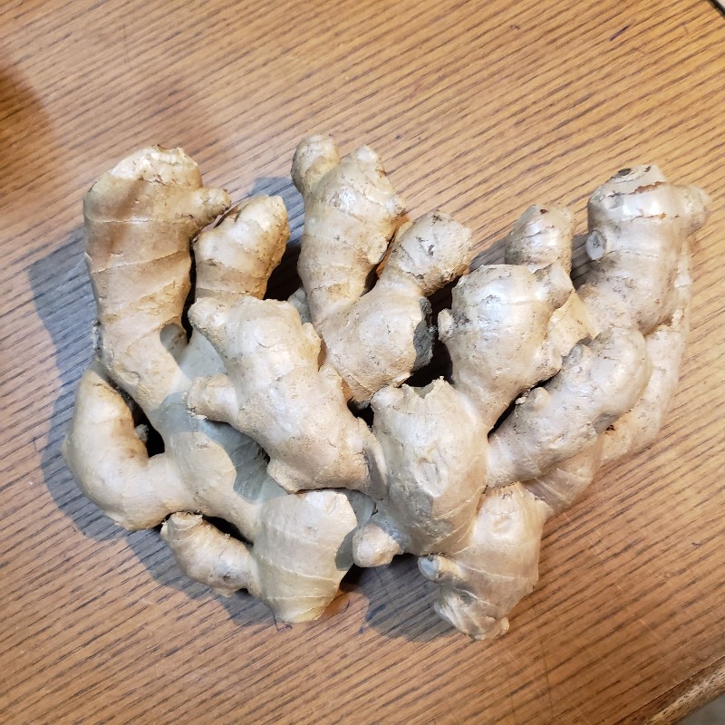 Ginger 1lb - large root