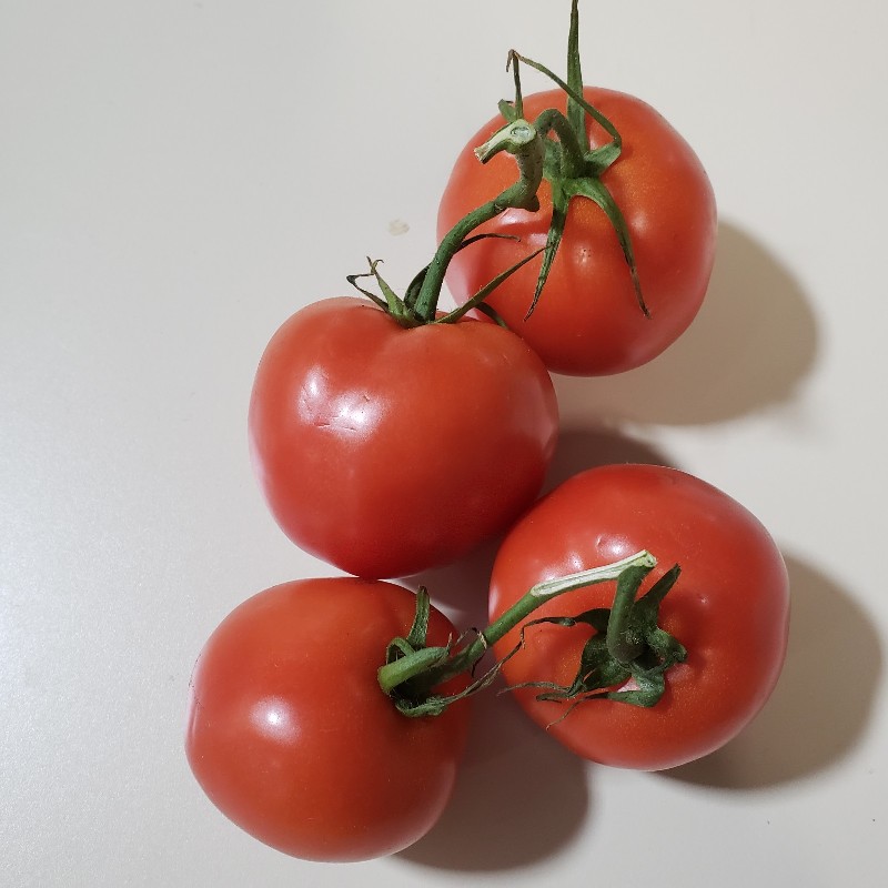 Vine Tomatoes, 1lb - Mike & Mike's