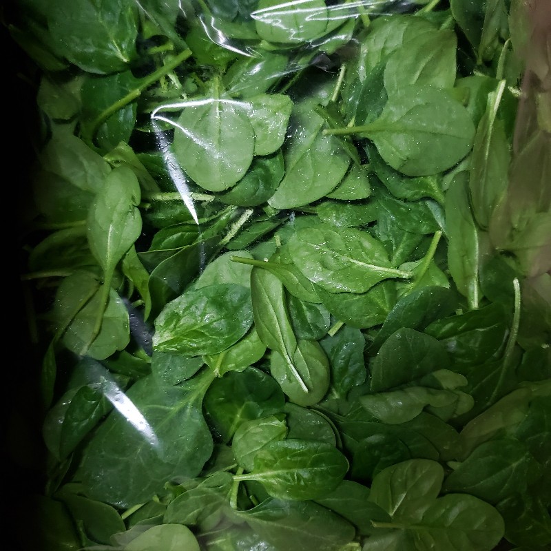 Greens, Baby Spinach