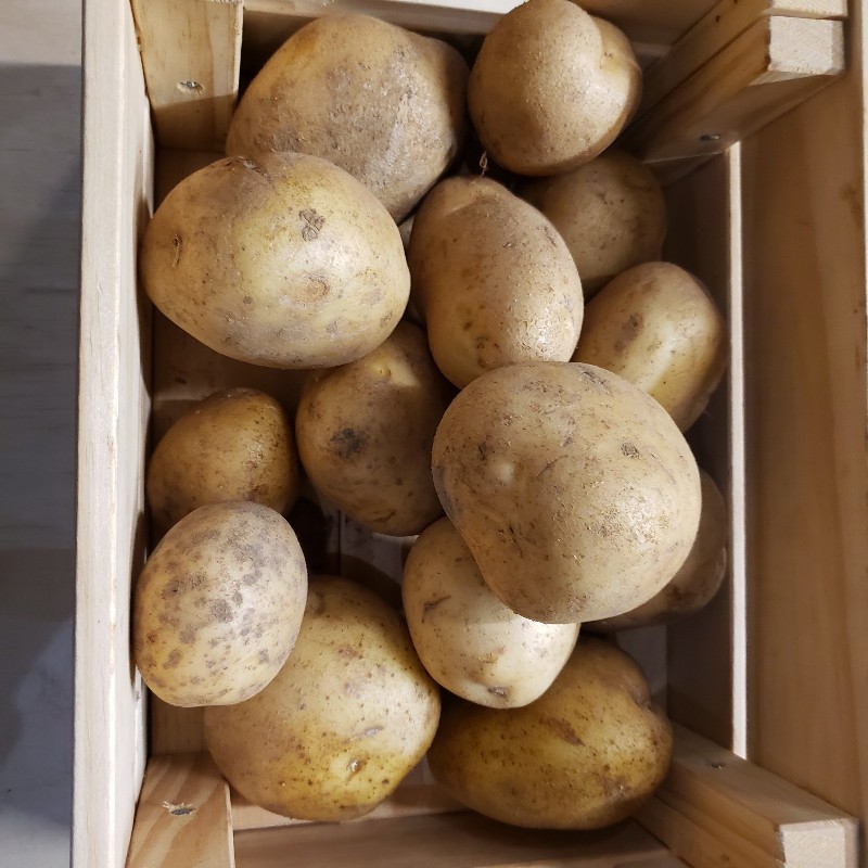 Potatoes, White 2.5lb - Summers Harvest