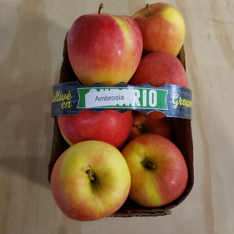 Apples, Ambrosia 3L - Warner's