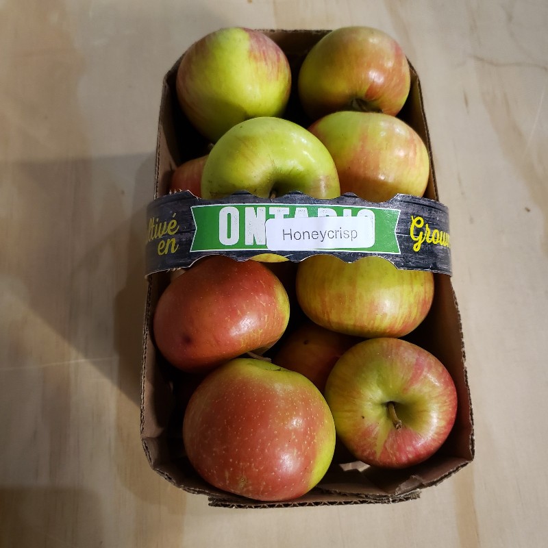Apples, Honeycrisp 3L - Warner's
