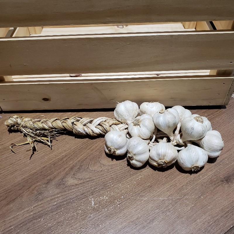 Garlic Braid 12ct - Knechtels