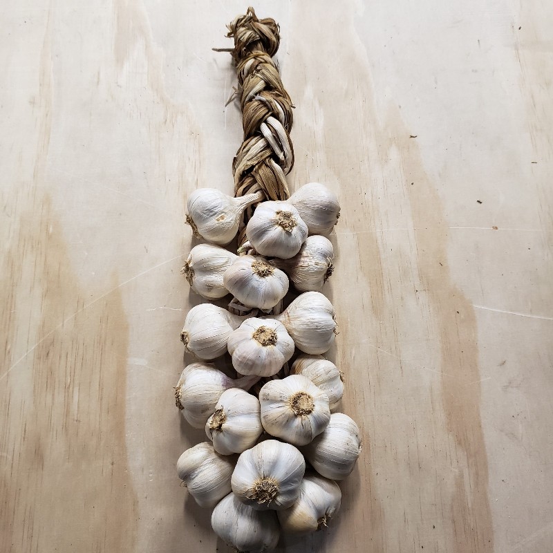 Garlic Braid 18ct - Knechtels