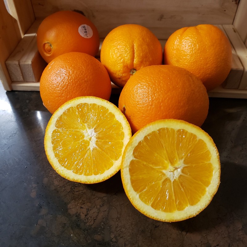 Oranges, Navel 5pack