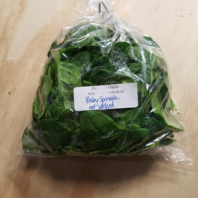 Baby Spinach, 200g - Organic Oasis
