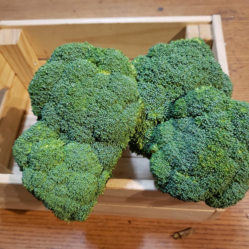 Broccoli - Mike & Mike's