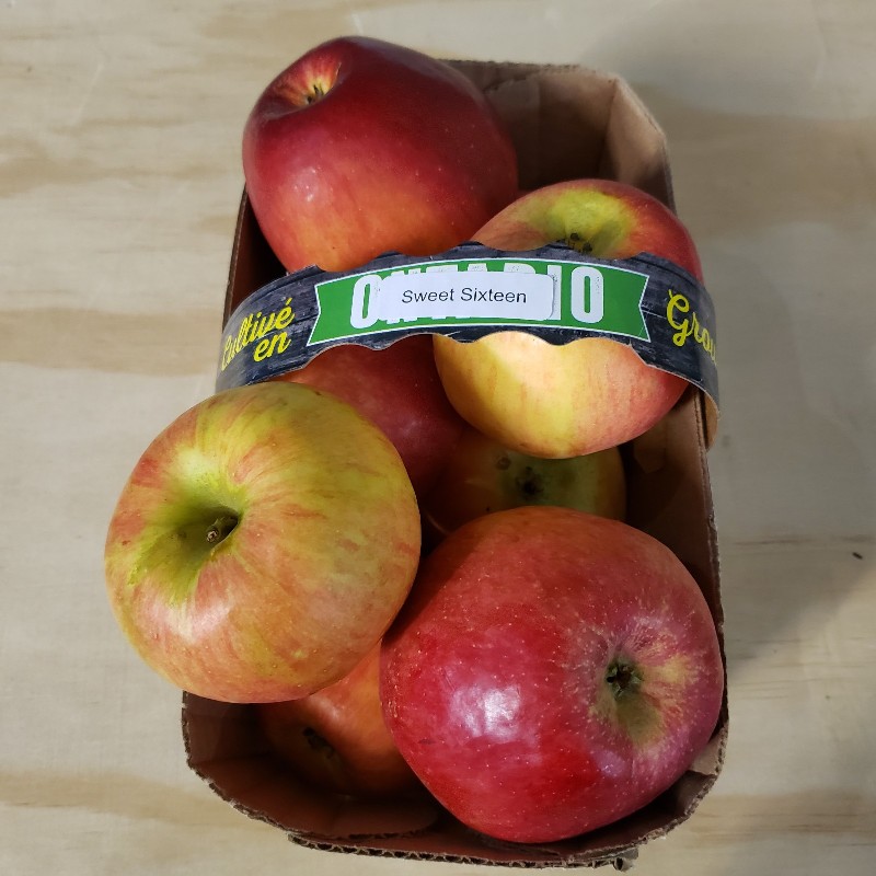 Apples, Sweet Sixteen - 3L - Warner's