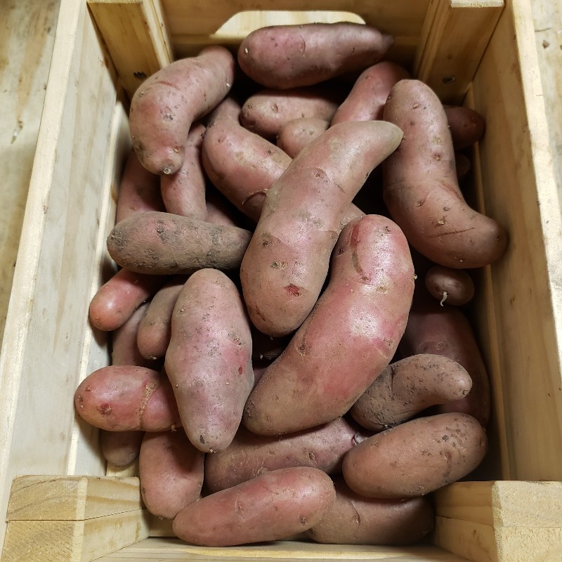 Potatoes, Fingerling 5lb - Brookfront