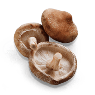 Mushrooms, Shiitake 4oz - TCM