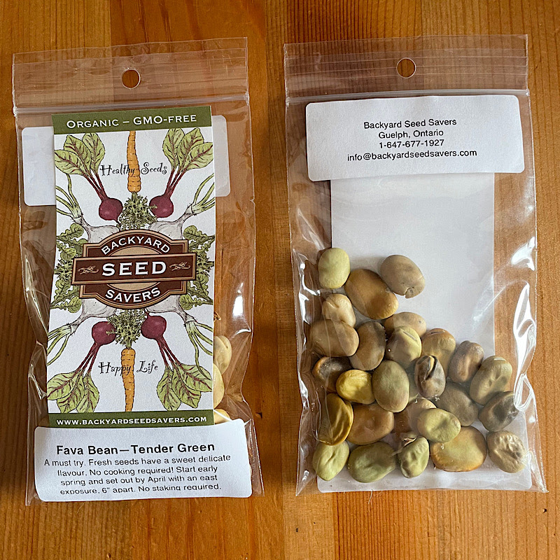 Seeds - Fava Bean, Tender Green