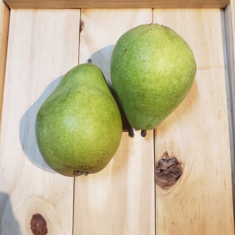 Pears, D'Anjou 2pk - Mike & Mike's