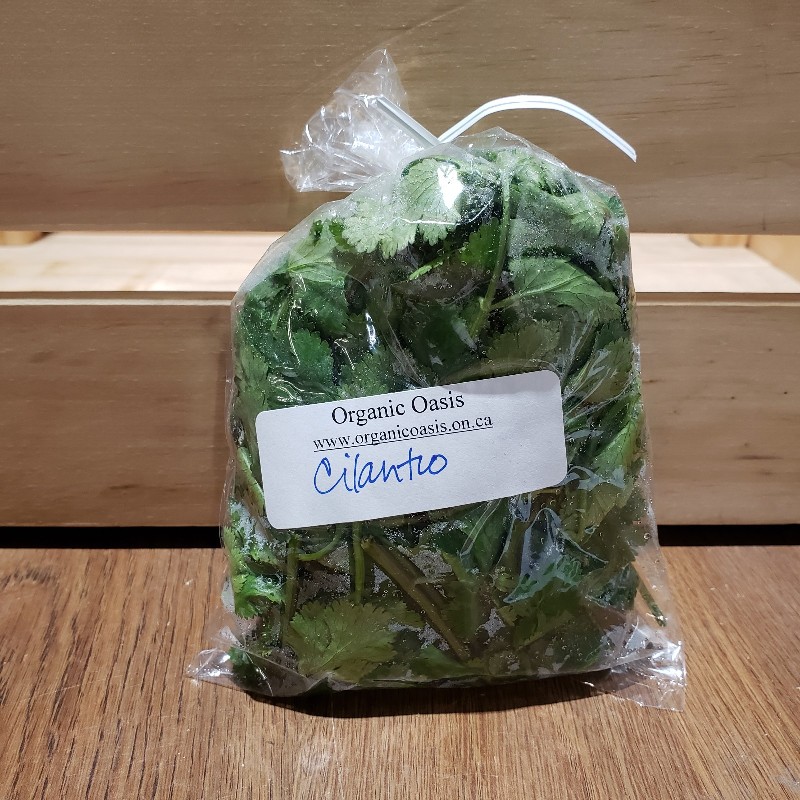 Cilantro, Bunch - Organic Oasis