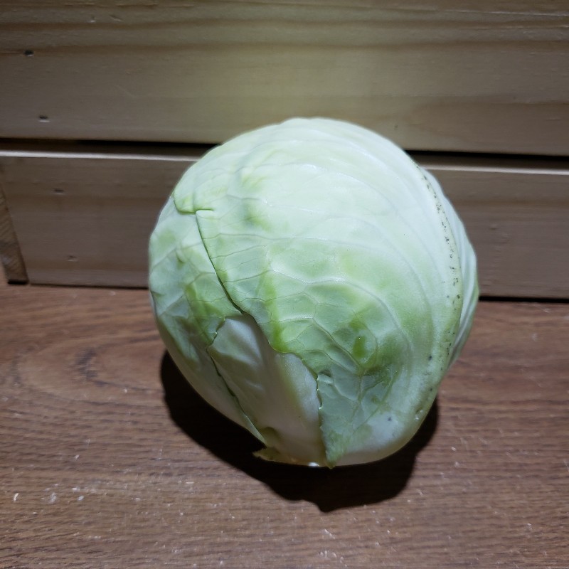 Cabbage, Green small 2pk - Bowman