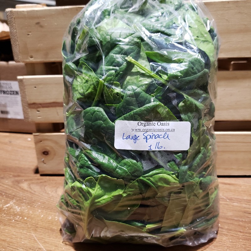 Large Spinach, not washed, 1lb - Organic Oasis