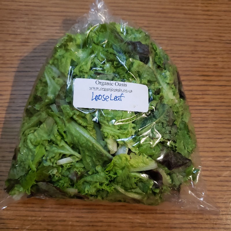 Lettuce, Loose Leaf, 200g - Organic Oasis