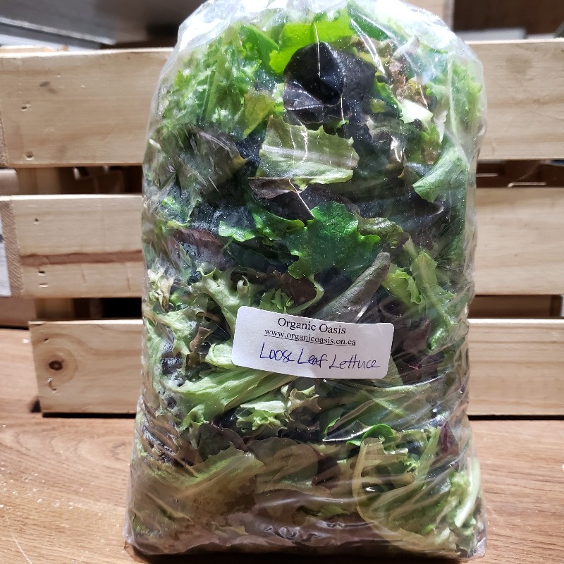 Lettuce, Loose Leaf, 1lb - Organic Oasis