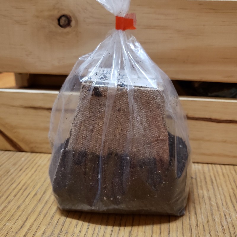 Seedling Kit (Single), Amazing Cauliflower