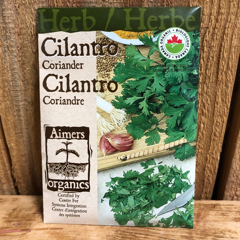 Seeds - Cilantro (Coriander)