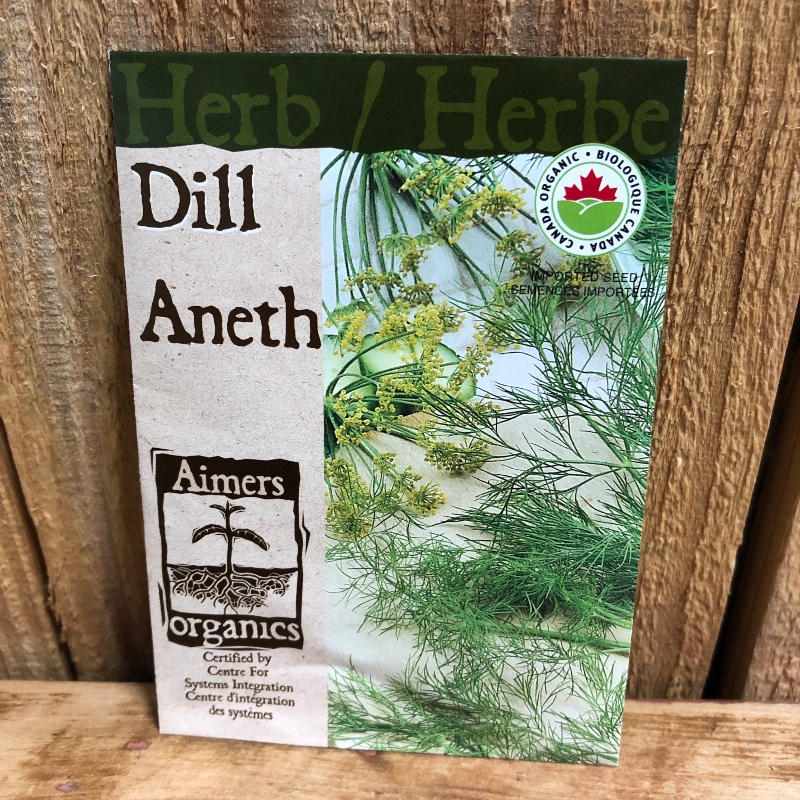 Seeds - Dill