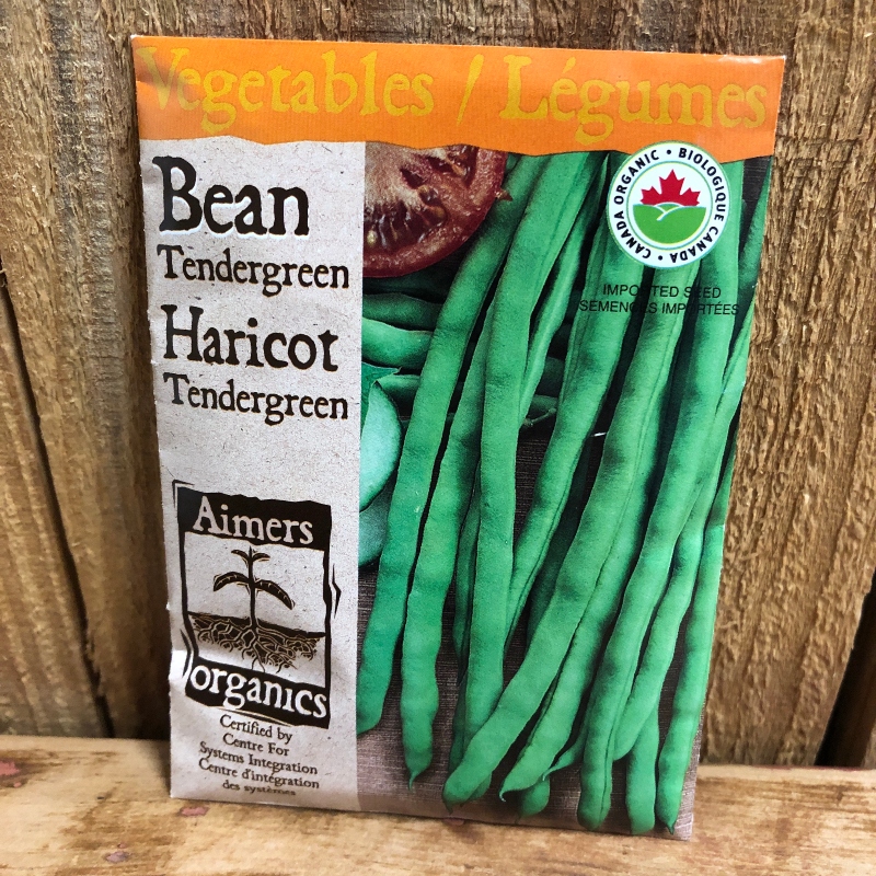 Seeds - Bean Tendergreen