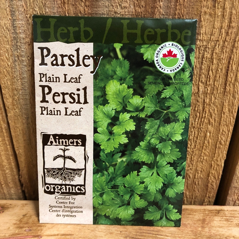 Seeds - Parsley, Plain Leaf