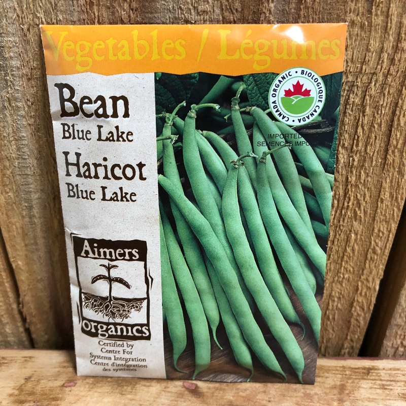 Seeds - Bean, Blue Lake