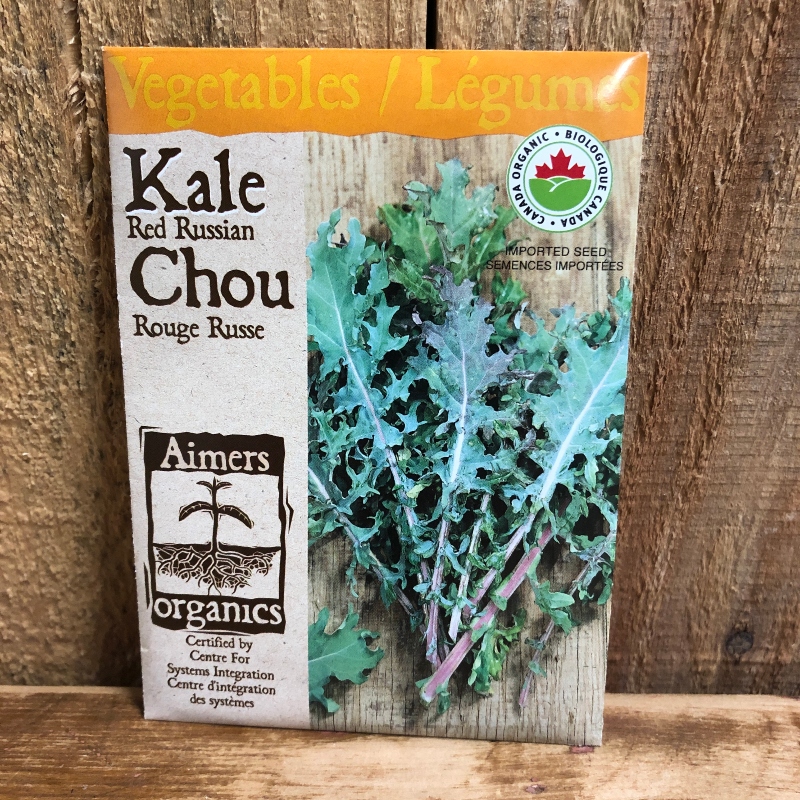 Seeds - Kale, Red Russian