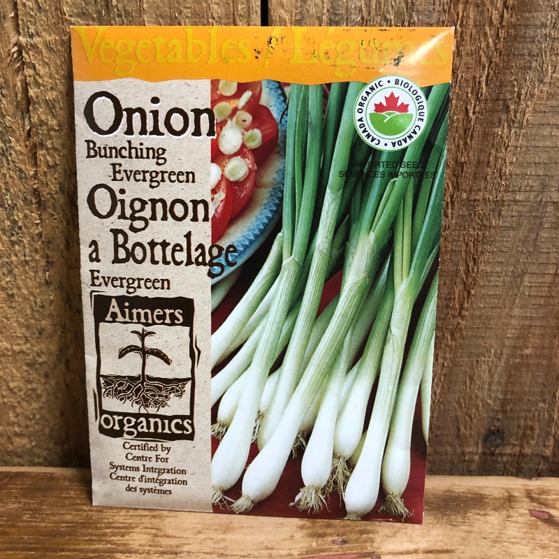 Seeds - Onion, Evergreen Bunching