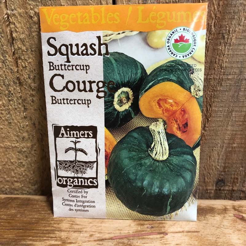 Seeds - Squash, Buttercup