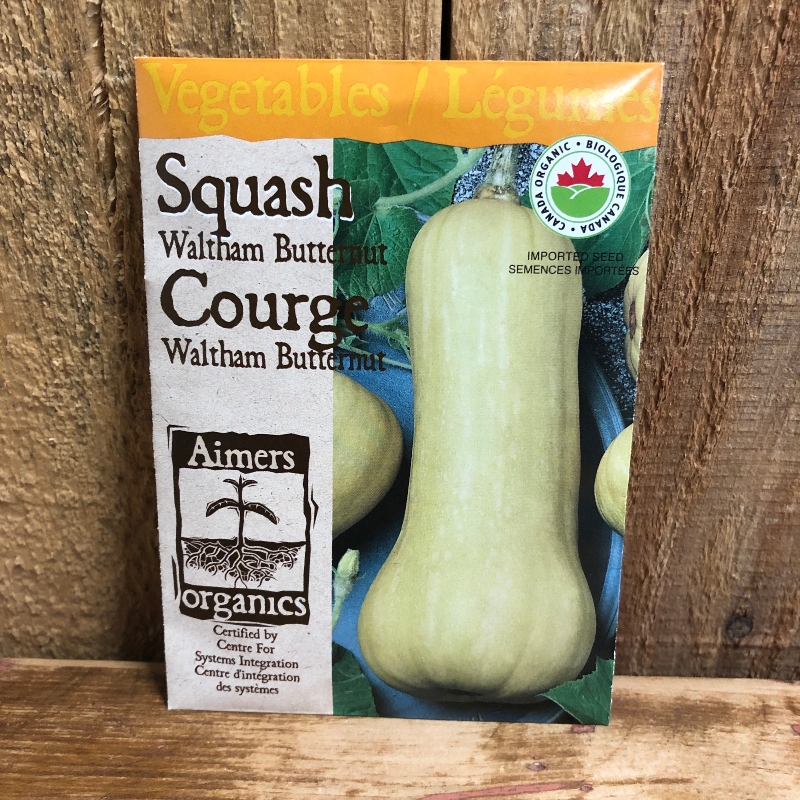 Seeds - Squash, Waltham Butternut