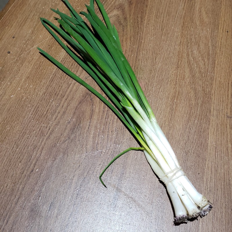 Green Onions - Knechtels